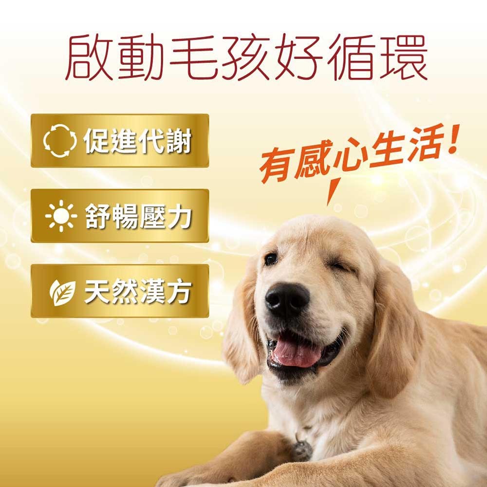 【毛孩寶PetPro】犬貓適用 | 心血管保健膠囊-Ｑ10輔酶＆紅蚯蚓酵素等六大循環心關鍵配方-細節圖4