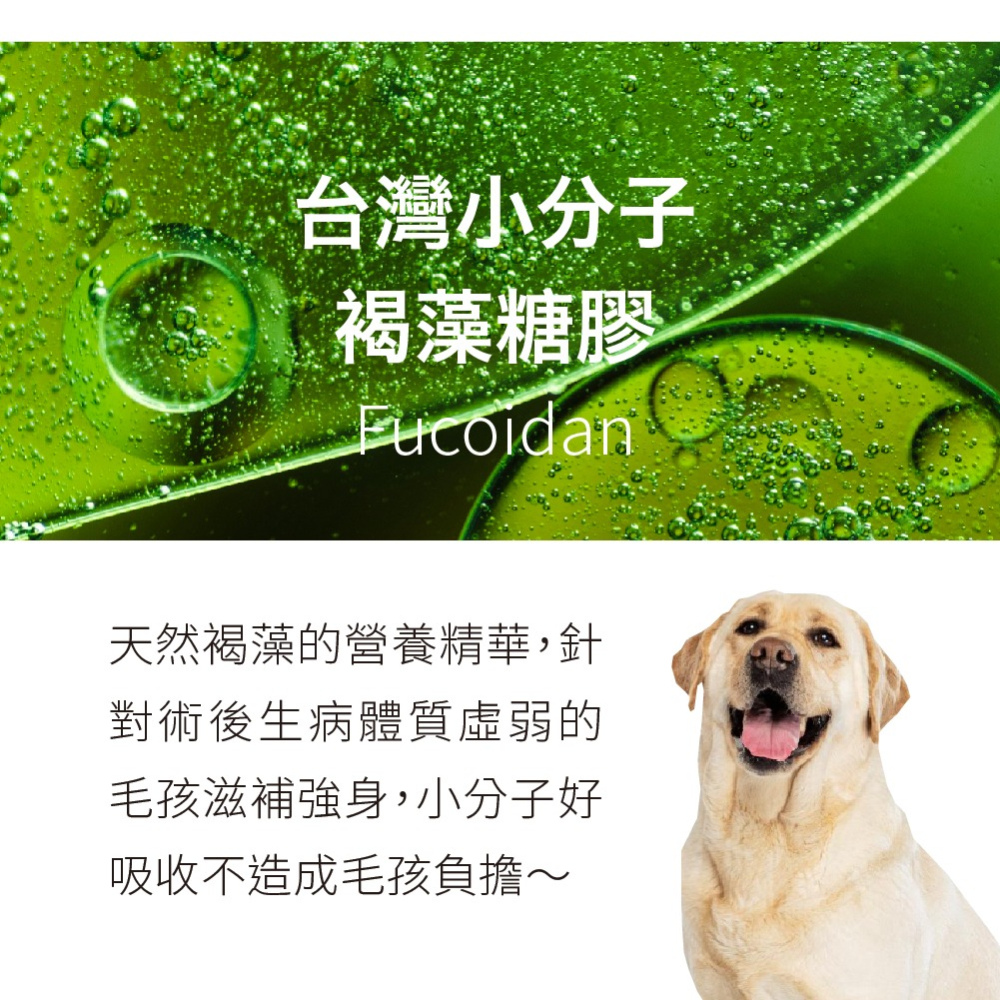 【毛孩寶PetPro】免疫力腫瘤照護膠囊-台灣專利小分子褐藻糖膠-細節圖2