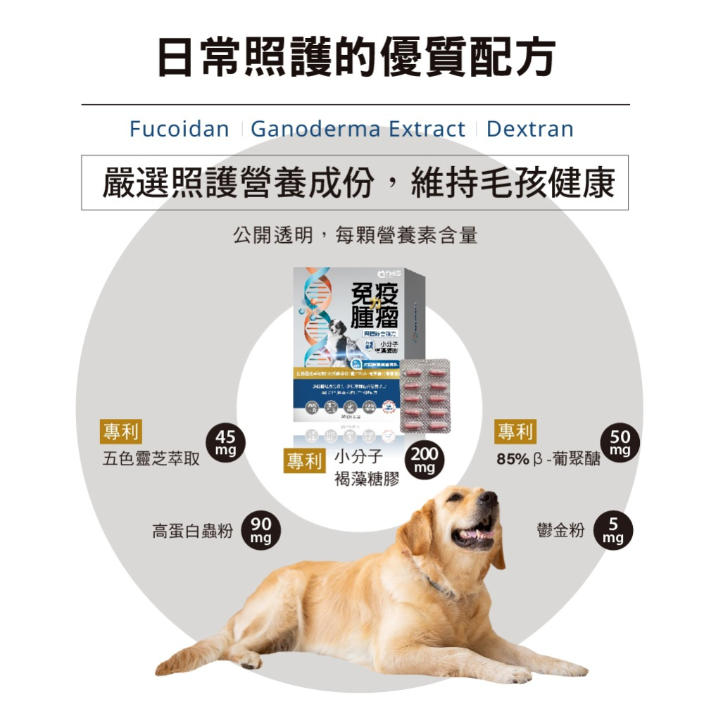 【毛孩寶PetPro】免疫力腫瘤照護膠囊-台灣專利小分子褐藻糖膠-細節圖4
