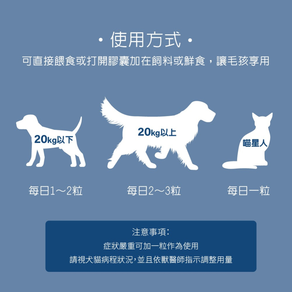 【毛孩寶PetPro】免疫力腫瘤照護膠囊-台灣專利小分子褐藻糖膠-細節圖6