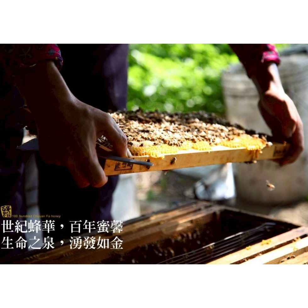 【泉發蜂蜜】蜂王乳指甲修護精華（玫瑰／橙花）-細節圖8