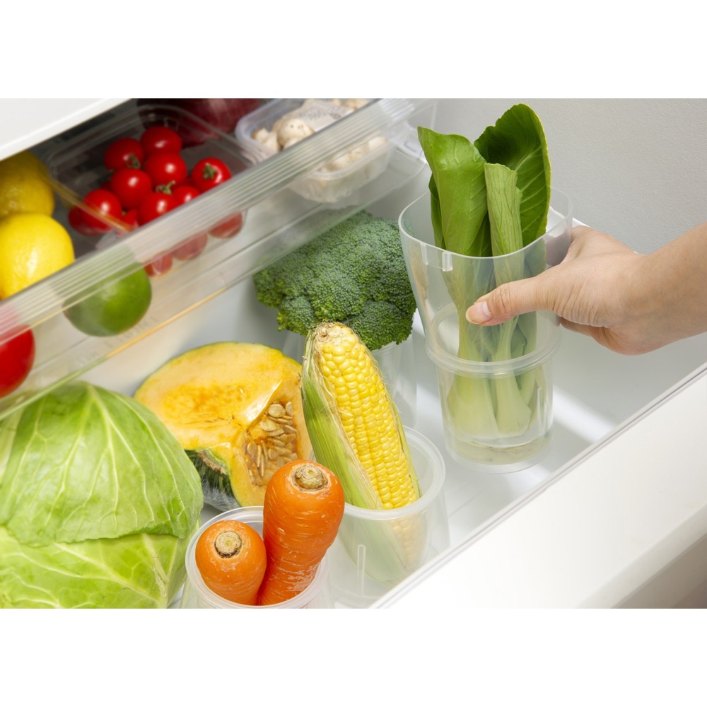 日本製 INOMATA  5070 蔬菜 保存盒-細節圖3