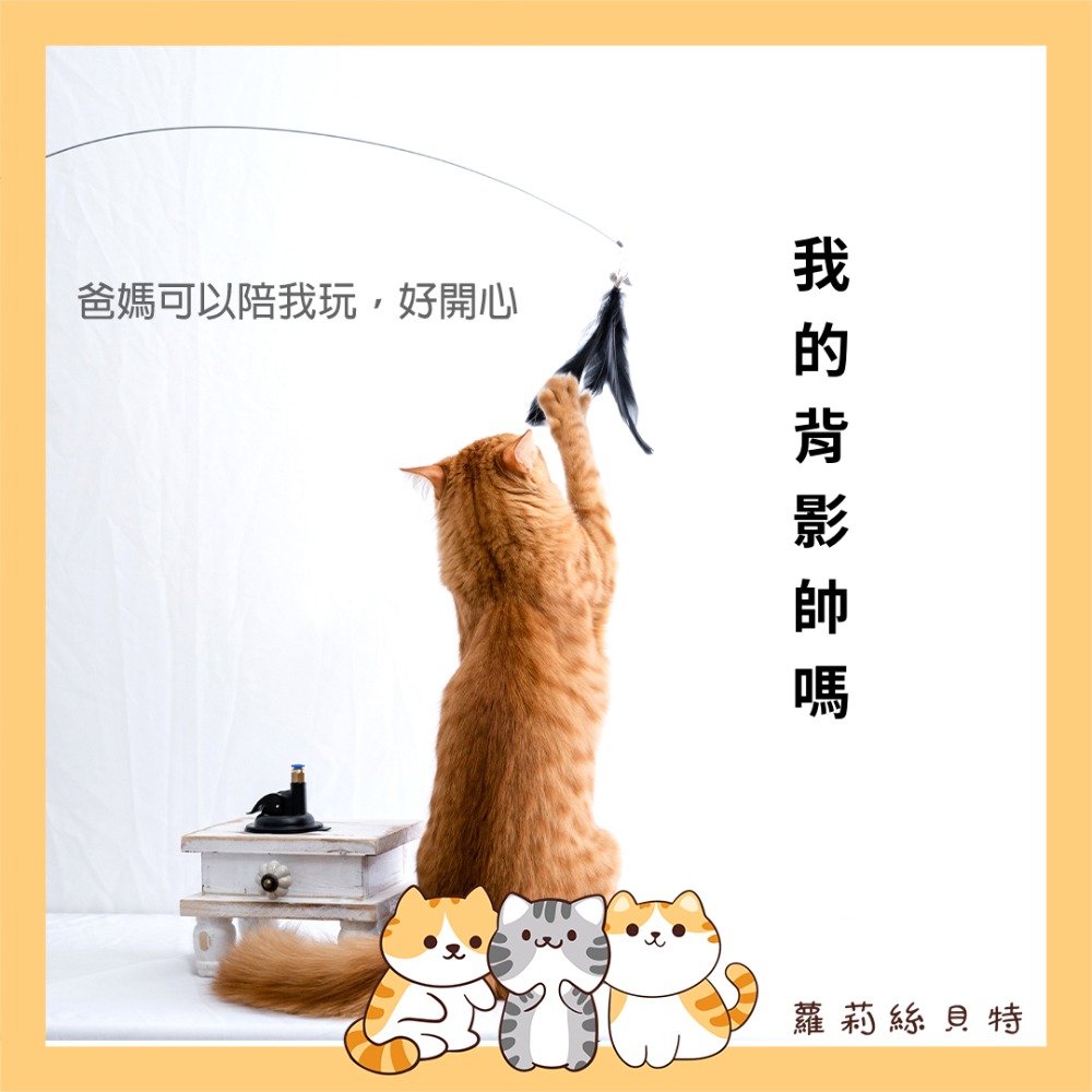 【現貨+實拍】 貓咪自嗨逗貓棒 吸盤逗貓棒  貓咪玩具-細節圖3