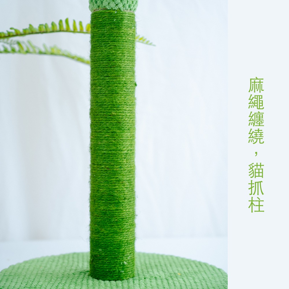 【現貨+實拍】 仙人掌貓爬柱-細節圖3