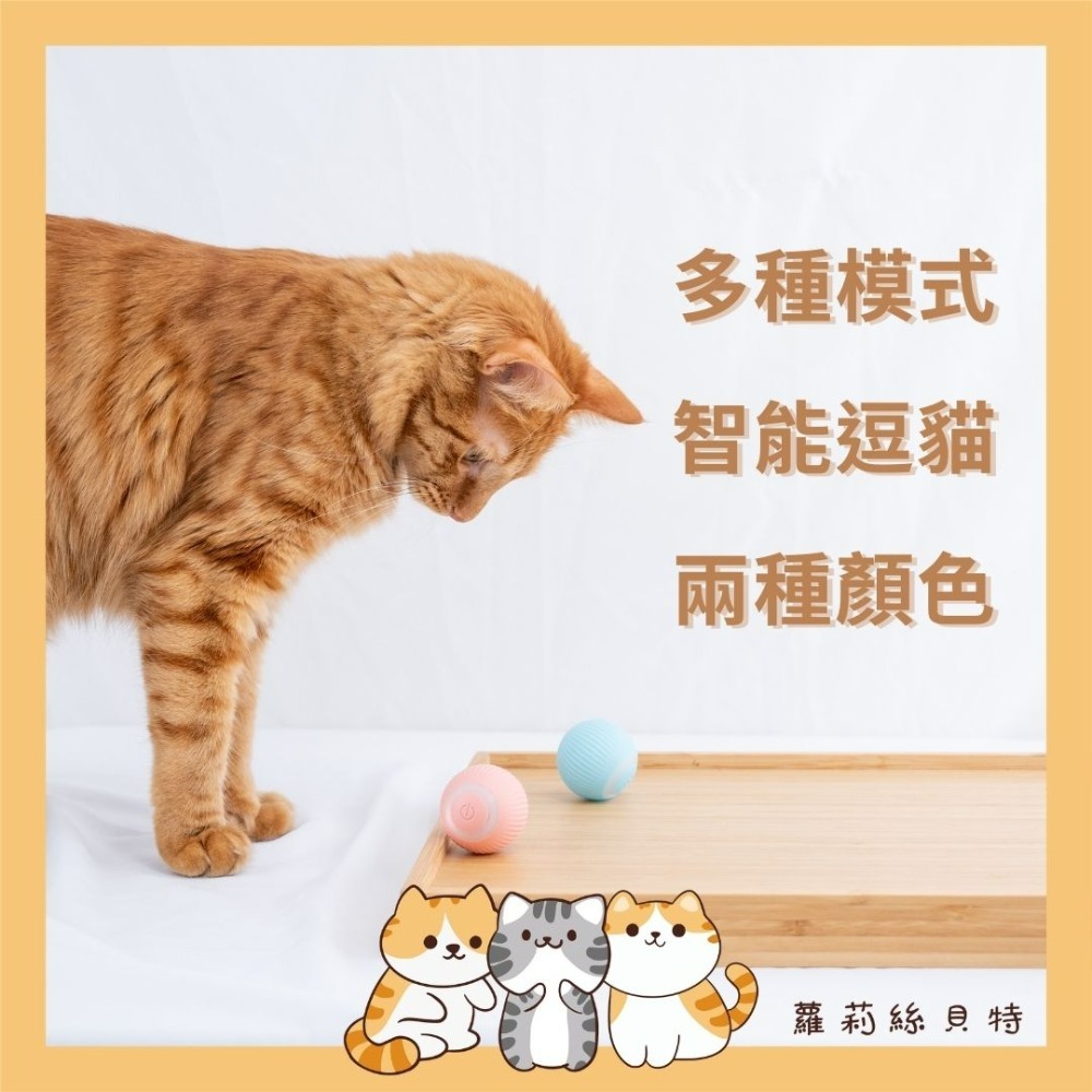 【現貨+實拍】智能滾滾球 寵物玩具 玩具球 貓咪玩具 狗玩具  逗貓玩具-細節圖2
