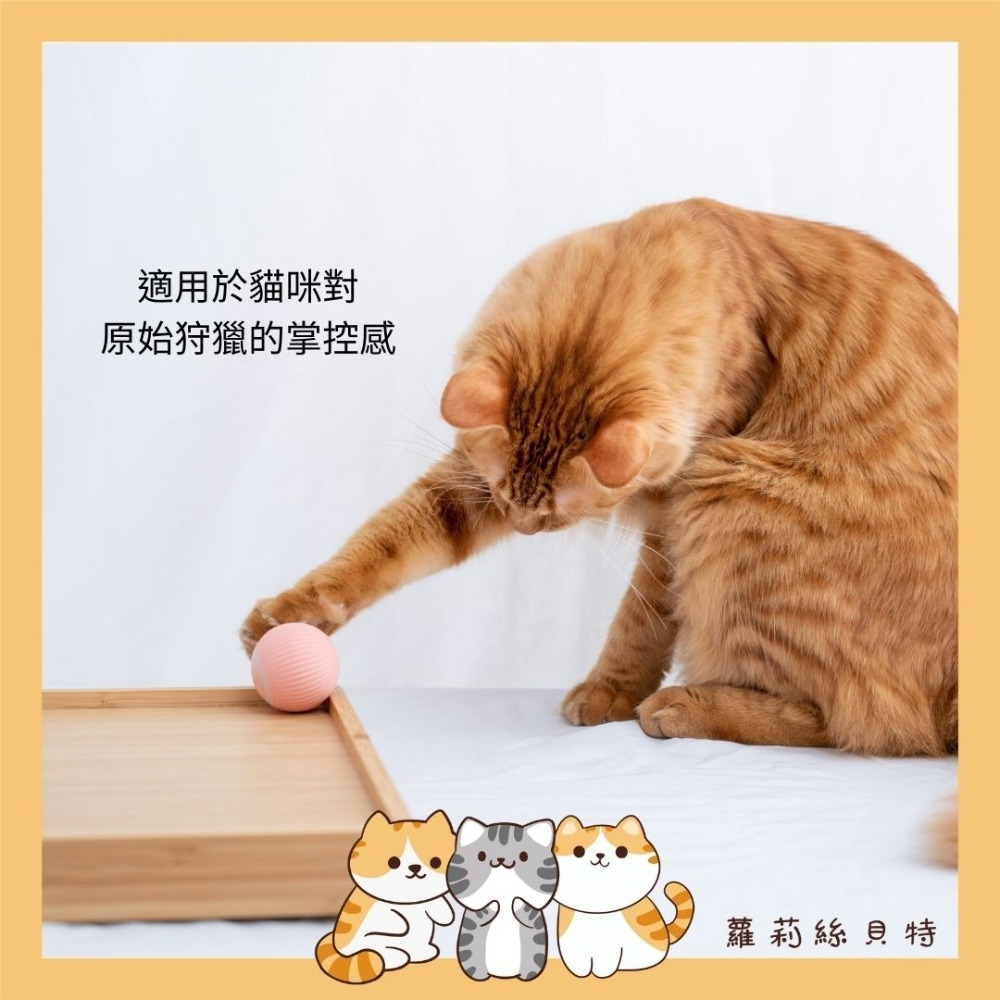 【現貨+實拍】智能滾滾球 寵物玩具 玩具球 貓咪玩具 狗玩具  逗貓玩具-細節圖3