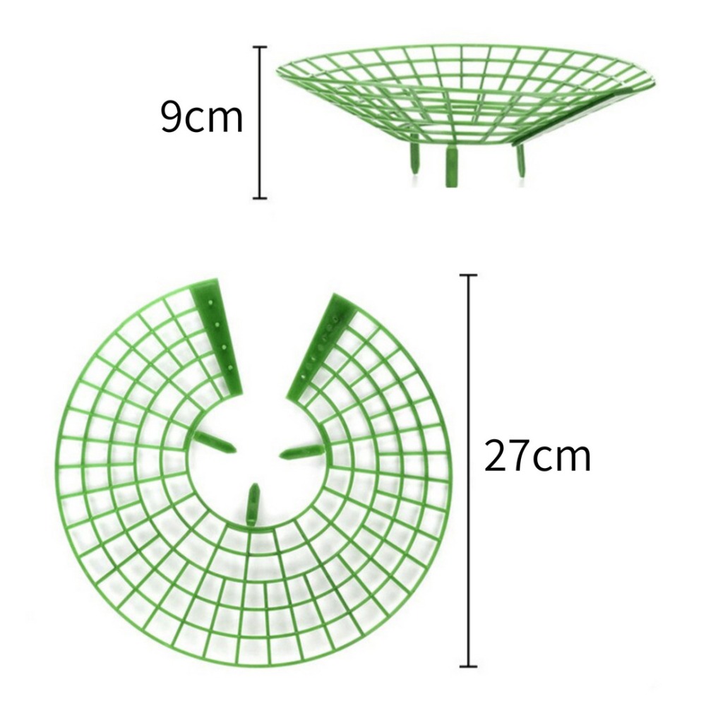 【現貨】果實支架 草莓支架  草莓架 植物支架 草莓種植架 草莓托盤 草莓立體支架 果實離地 病蟲害防治 防爛果-細節圖4