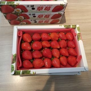 【現採現寄】苗栗大湖草莓 香水草莓 新鮮草莓 草莓紅了 現採草莓 草莓禮盒 過年伴手禮 strawberry-細節圖6