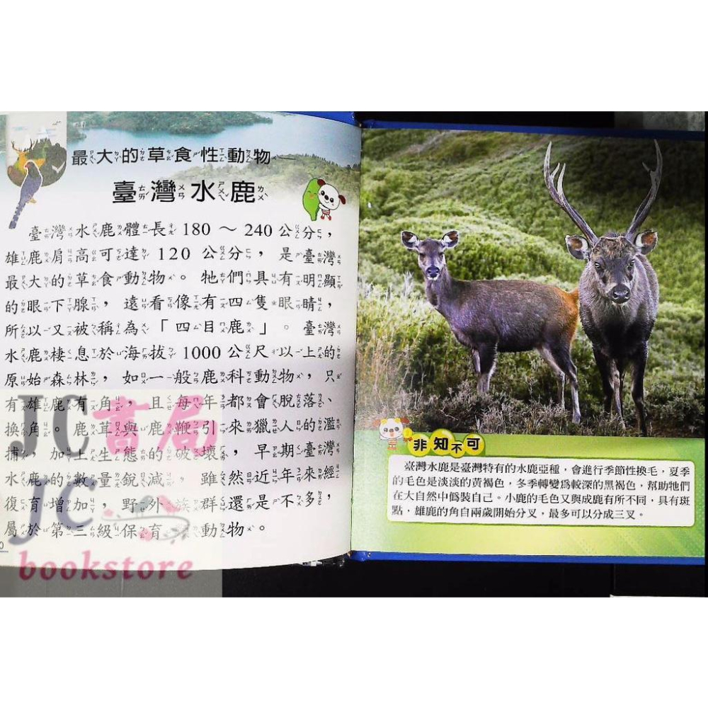 【JC書局】世一文化 我是知識王(32) 台灣之最小百科B688032【JC書局】-細節圖3