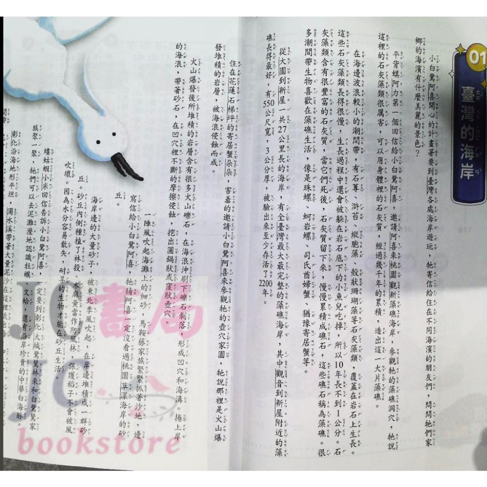 【JC書局】政大(明霖) 閱讀素養週計畫 初階(1) (中年級-高年級)-細節圖3