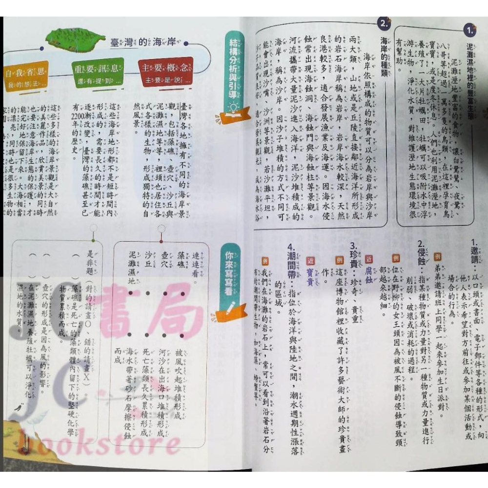 【JC書局】政大(明霖) 閱讀素養週計畫 初階(1) (中年級-高年級)-細節圖4