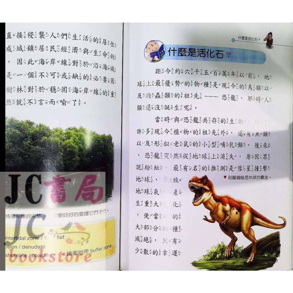 【JC書局】世一文化 十萬個為什麼 兒童百科全書 草本植物篇 自然生態篇 人體奧秘篇 恐龍篇 昆蟲世界篇 地球科學篇 木本植物篇 非哺乳動物篇 哺乳動物篇 集中賣場【JC書局】-細節圖3