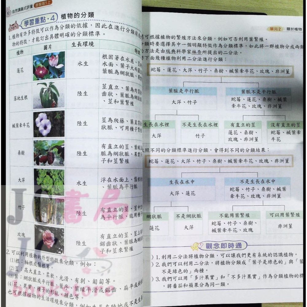 【JC書局】金安國小 113上學期 小統領 講義式評量 數學 自然1上 2上 3上4上 5上 6上 翰版 康版 南版-細節圖8