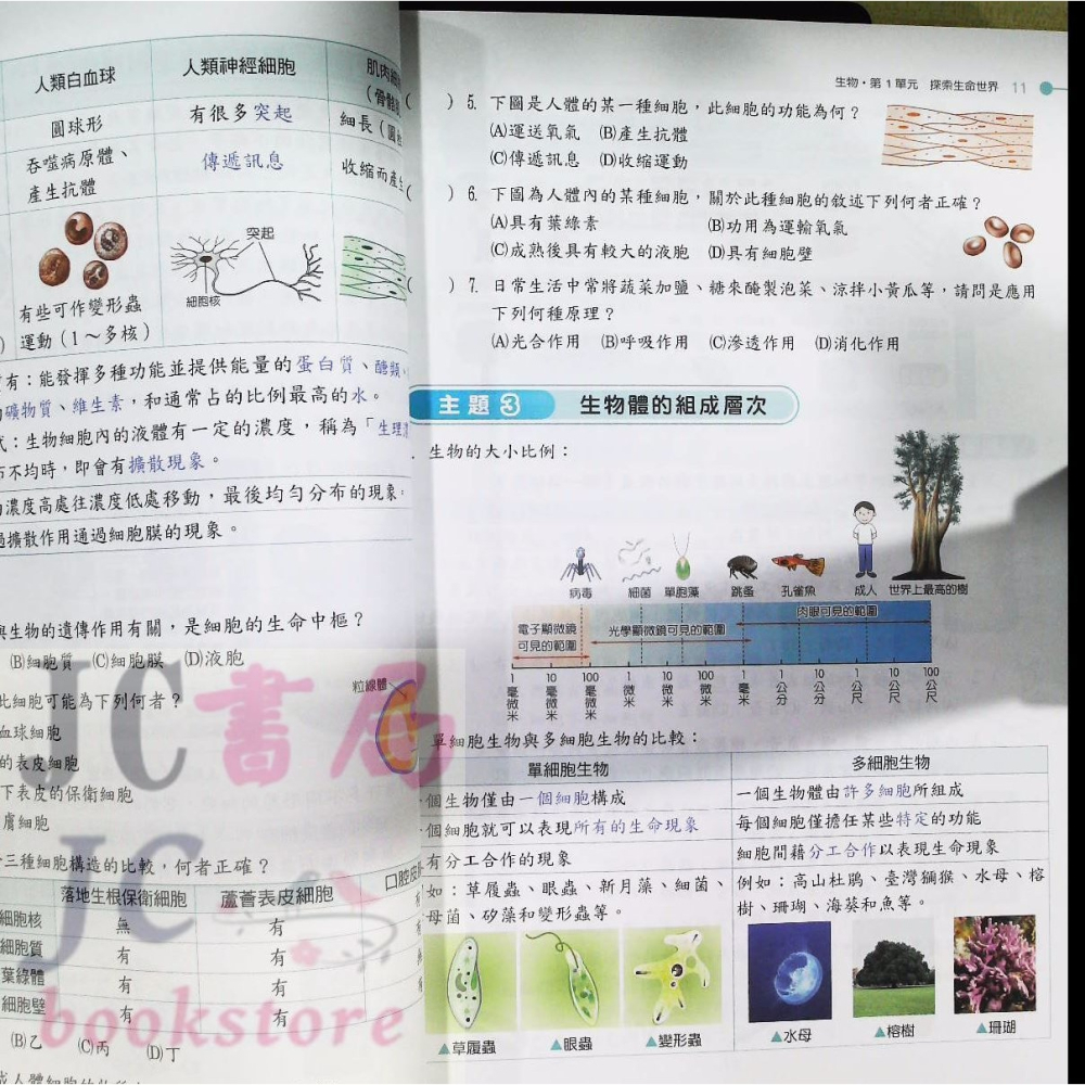 【JC書局】翰林國小  升私中 升國中 資優班 入學攻略 自然科 自然【JC書局】-細節圖5