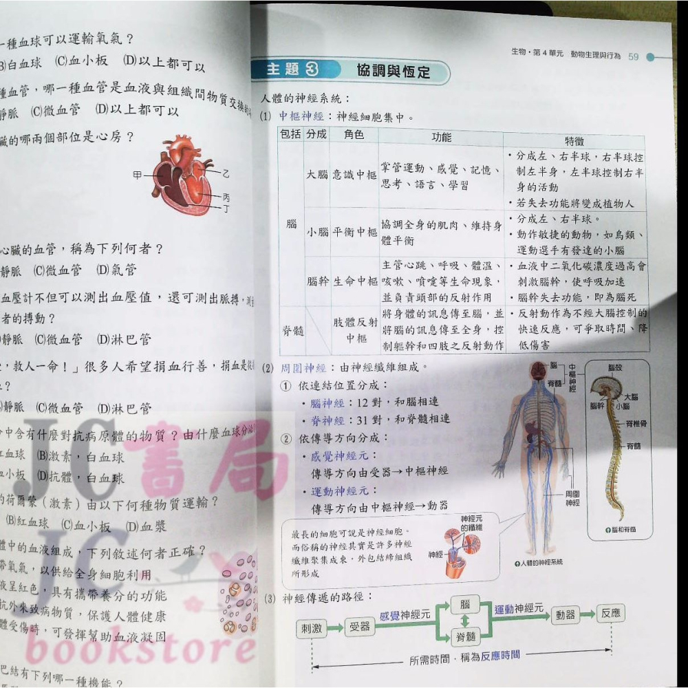 【JC書局】翰林國小  升私中 升國中 資優班 入學攻略 自然科 自然【JC書局】-細節圖8