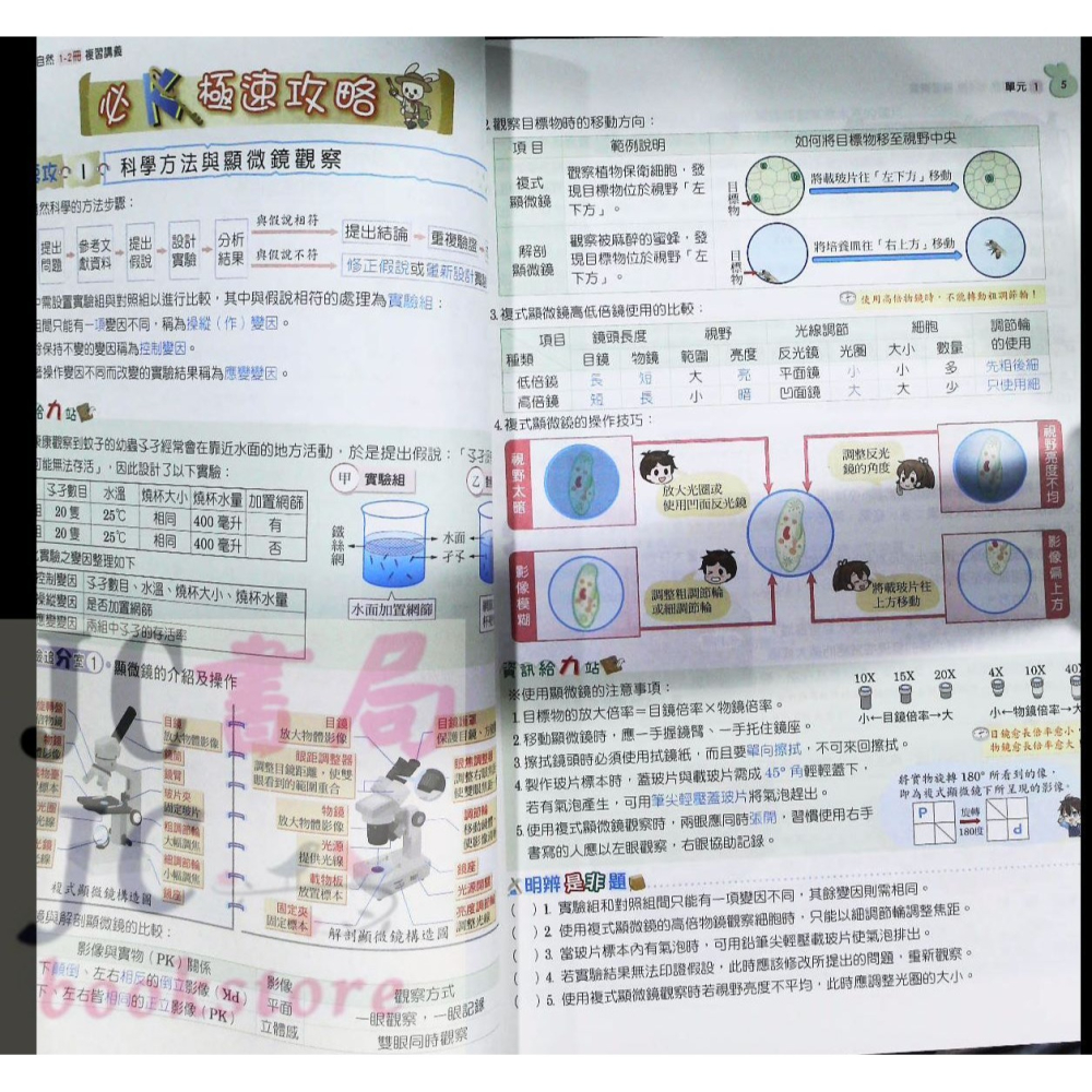 【JC書局】高昇國中 115年 會考 台ONE 複習講義 理化3-4冊 生物-細節圖6