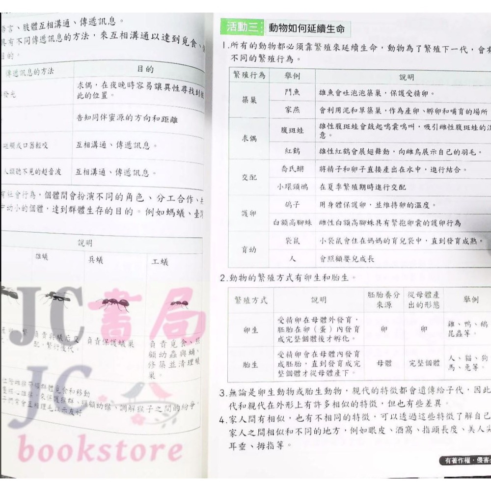 【JC書局】康軒版 113上學期 國小 評量 國語 數學 生活 自然 社會 1上 2上 3上 4上 5上 6上-細節圖7