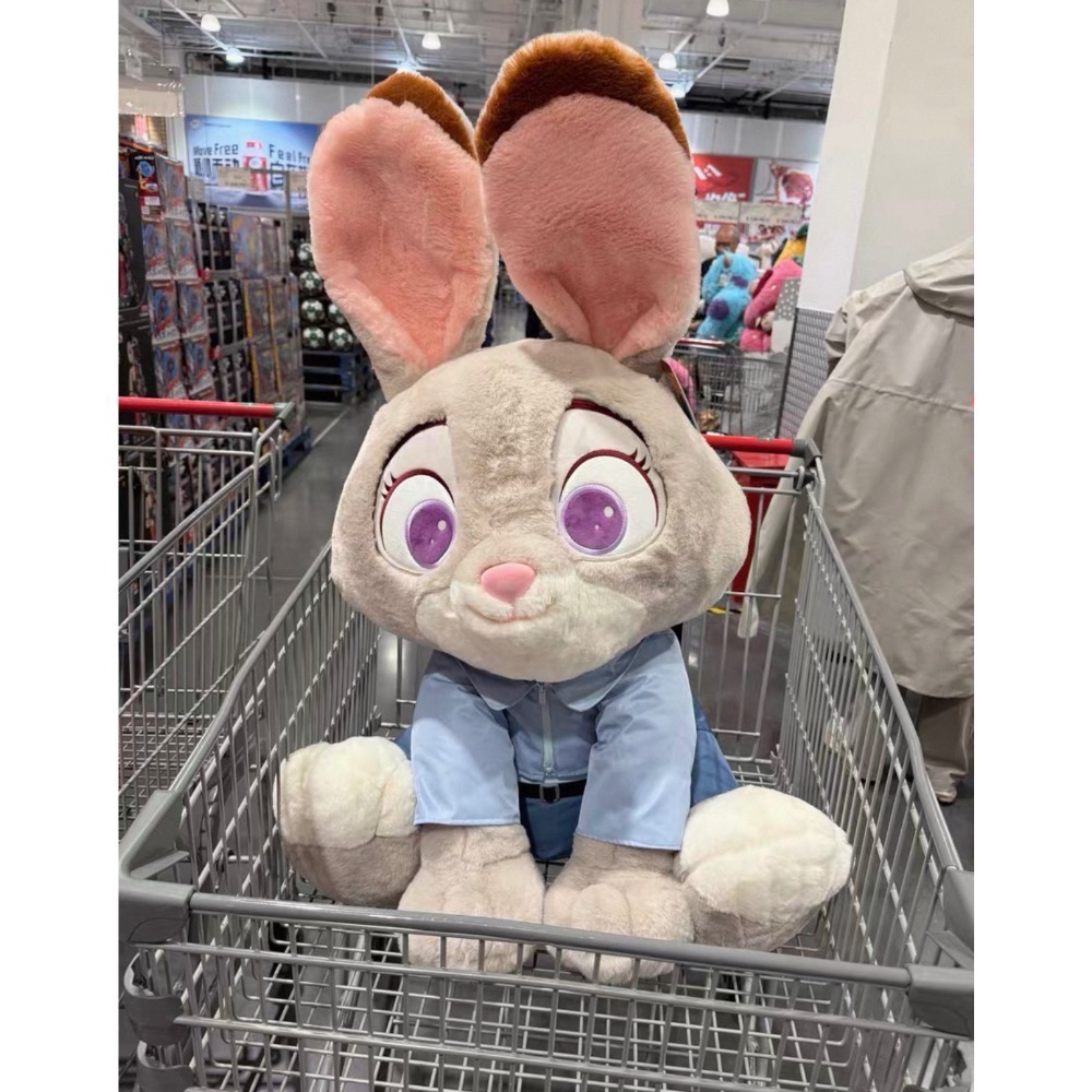 現貨！ 超大80公分 動物方城市 尼克/朱迪三合一大抱枕-細節圖2