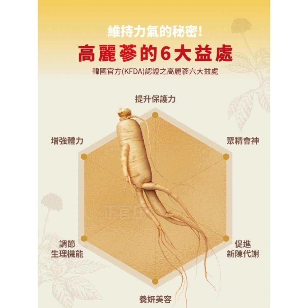 領劵免運 🛒 現貨 韓國 正官庄高麗蔘精 EVERYTIME 🛒10ml*10入/盒-細節圖2