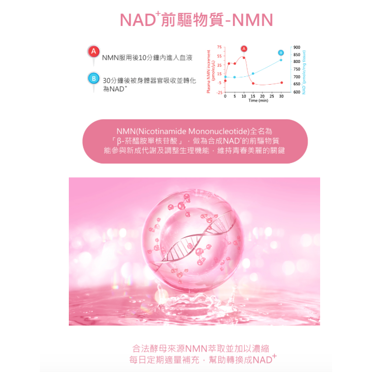 領劵免運 🛒 單包體驗試用✨ 蔓越莓茶飲 仙女茶💡 NMN 花孅飲-細節圖2