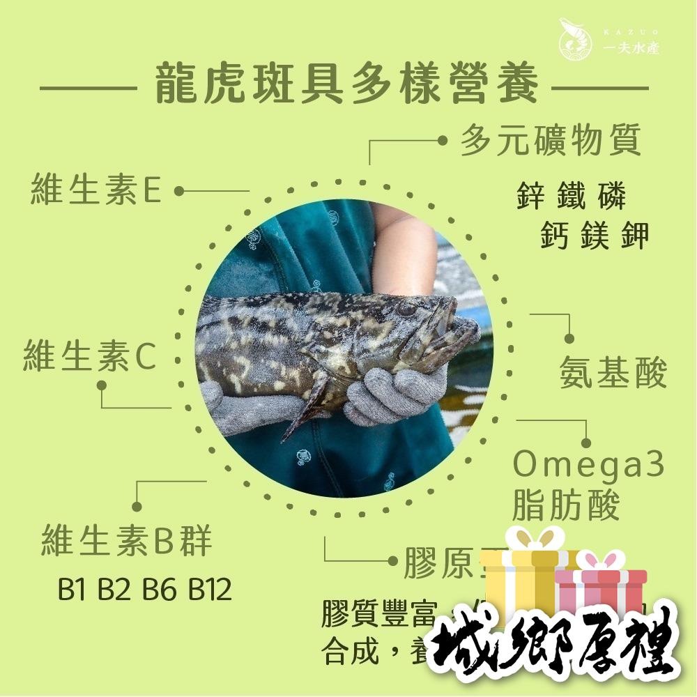 【一夫水產】龍虎斑魚頭切丁（200g/包）-細節圖3