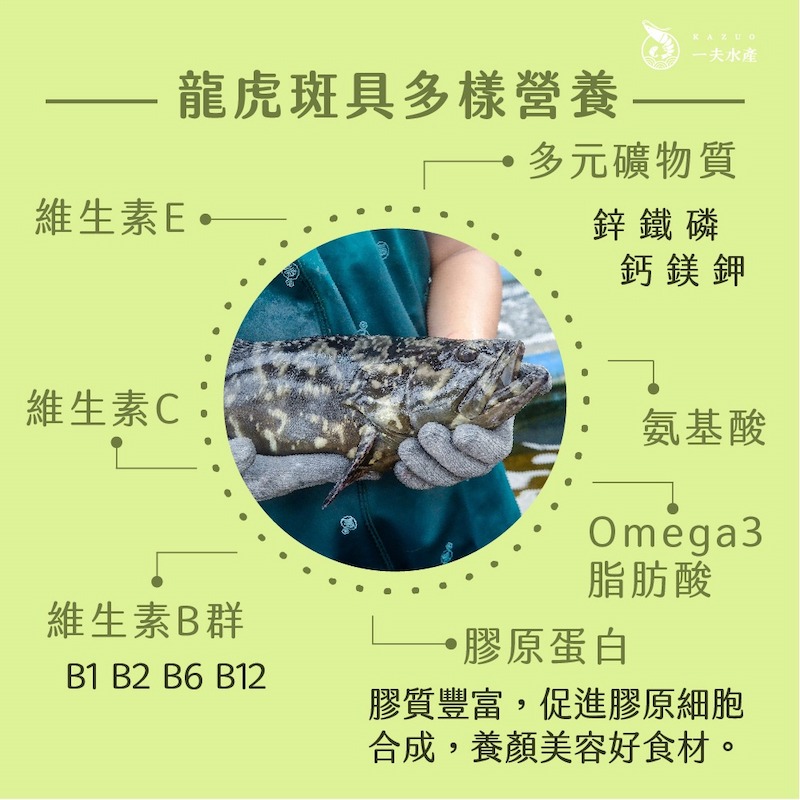 【一夫水產】龍虎斑魚骨段切-細節圖5