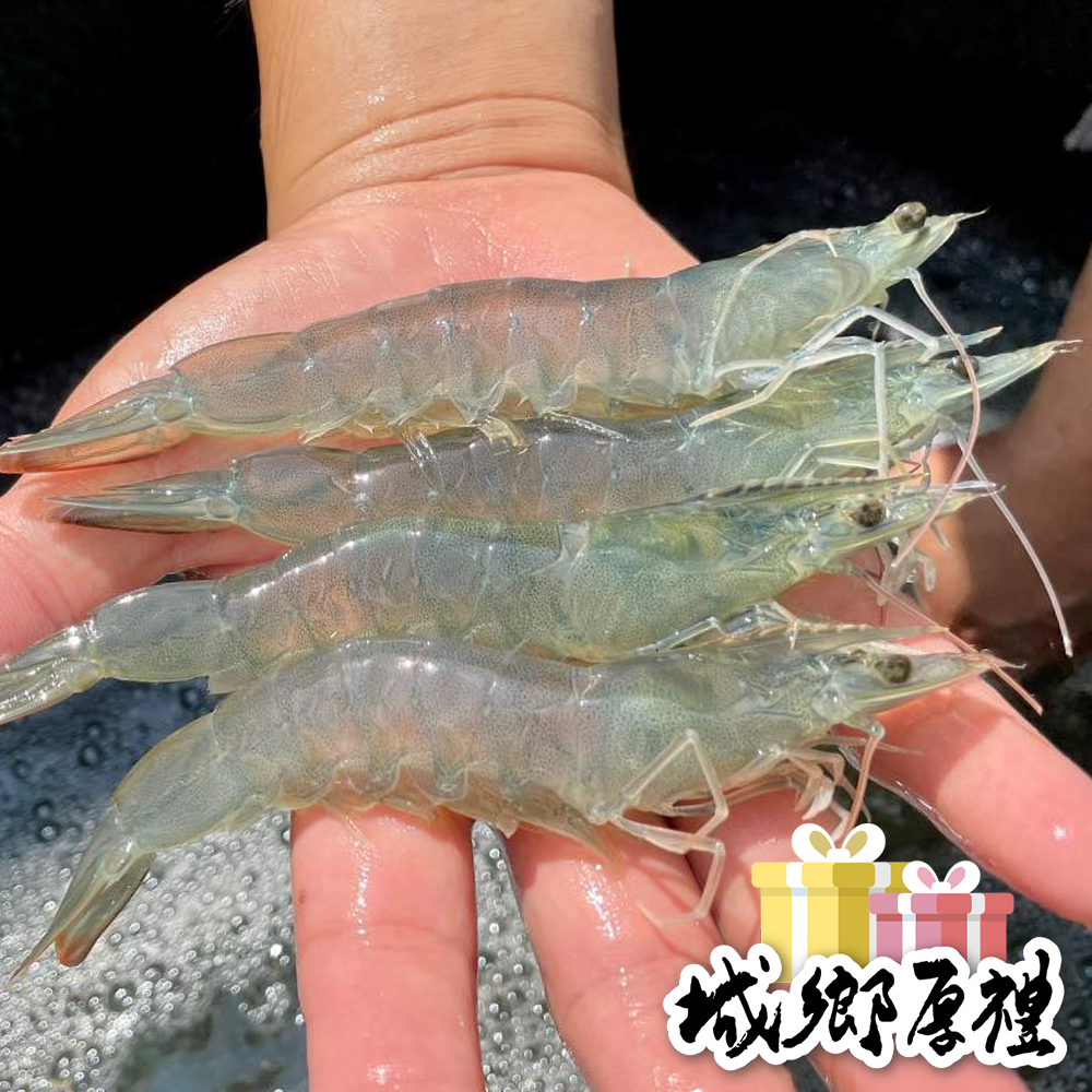【一夫水產】海水晶晶蝦（200g/盒）-細節圖2