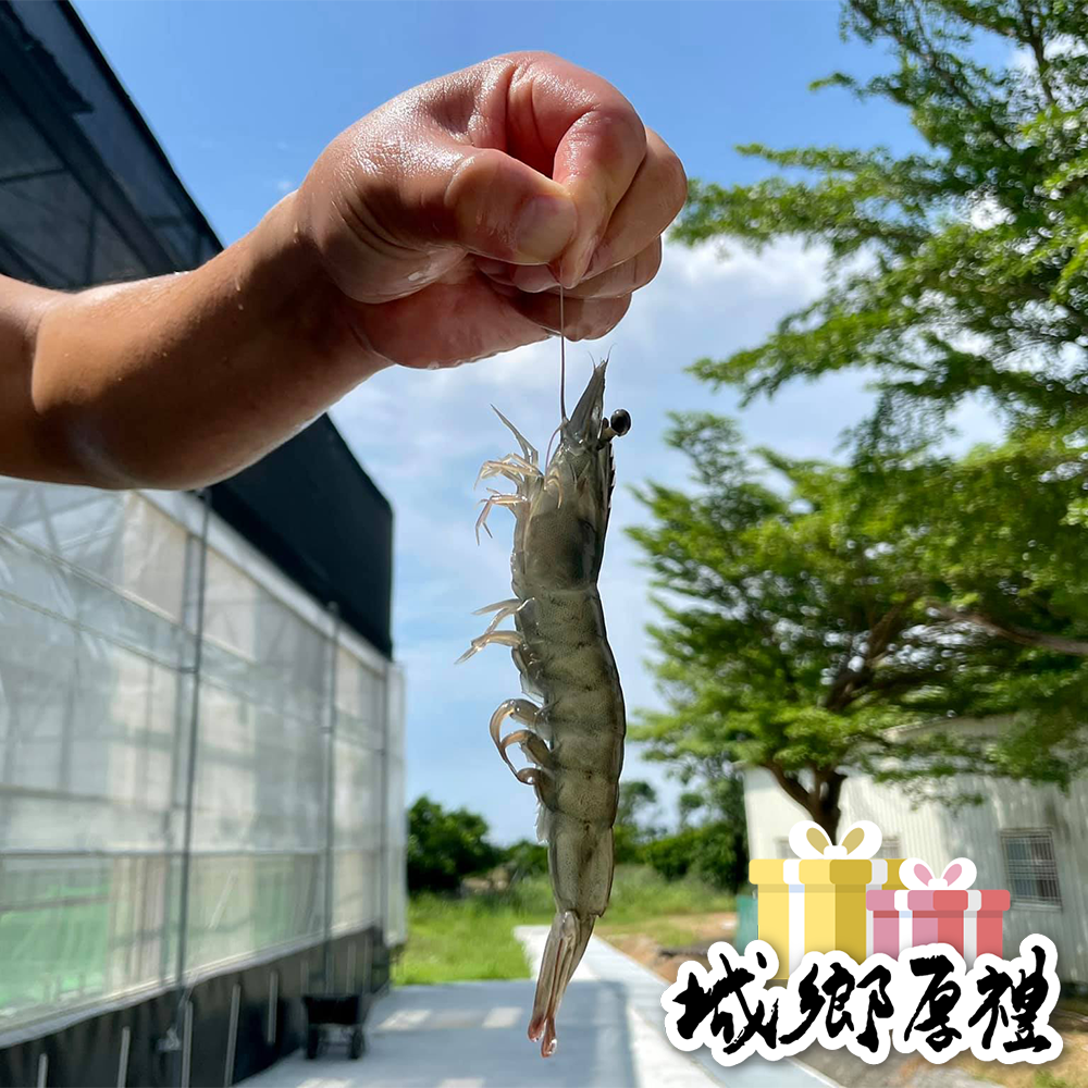 【一夫水產】海水晶晶蝦（200g/盒）-細節圖3