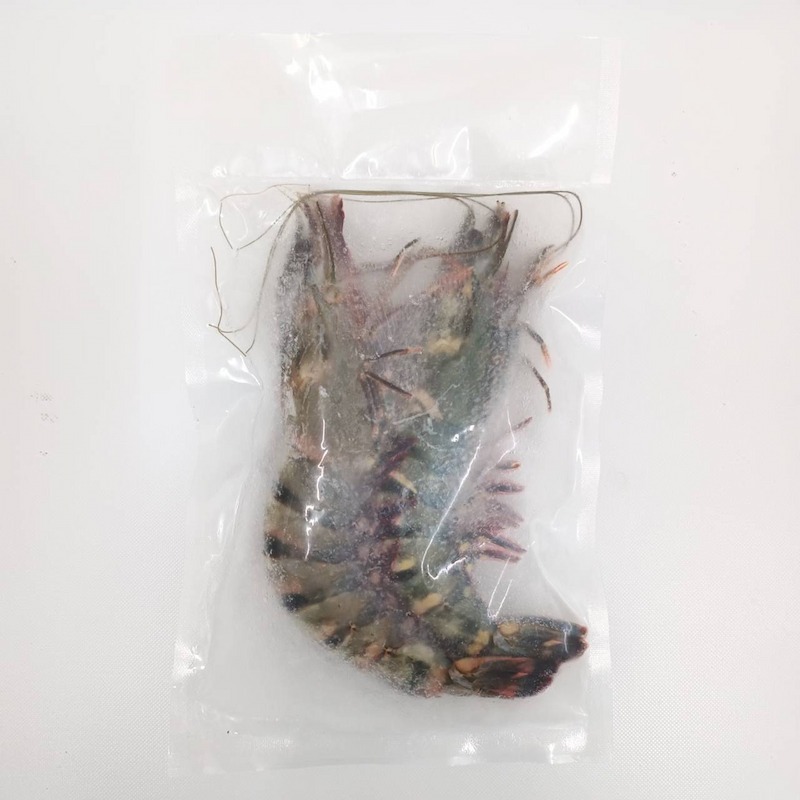 【一夫水產】藍寶石草蝦 4XL（200g/2尾/入）-細節圖4