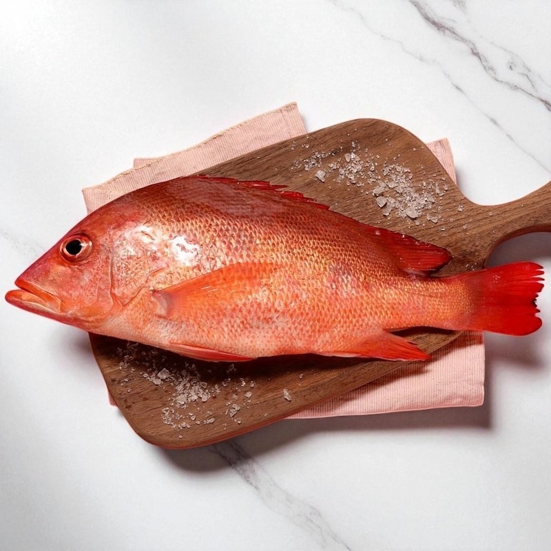 【一夫水產】紅魚/紅雞母（400g/尾）-細節圖2