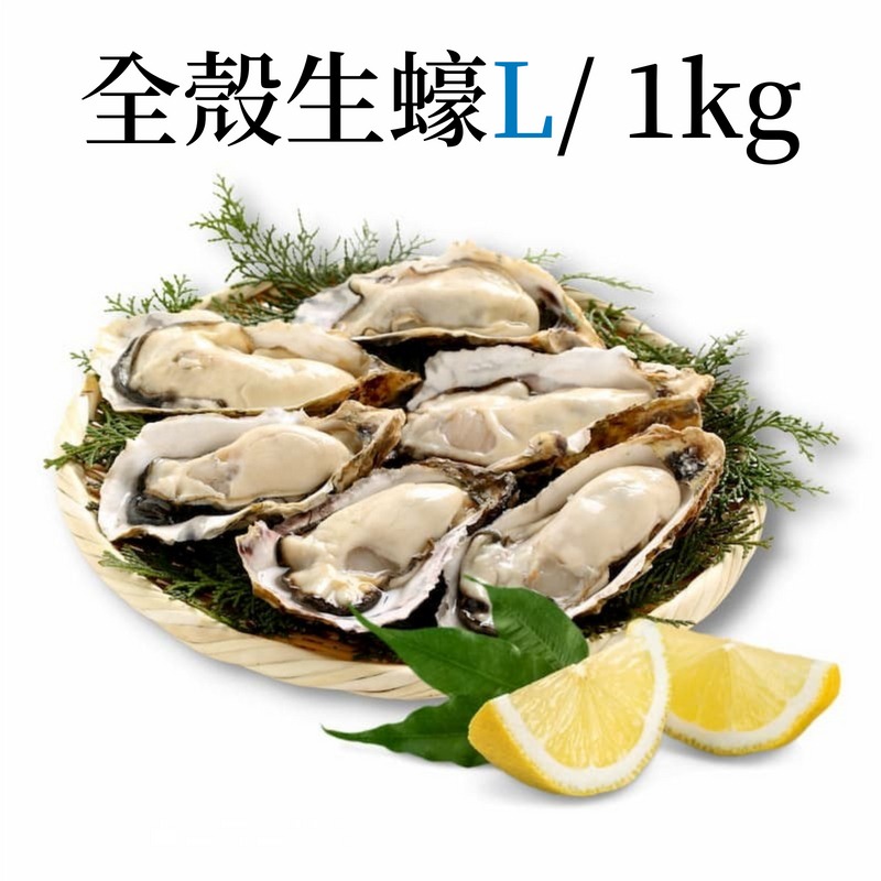 【一夫水產】三重縣生食級－全殼生蠔L-細節圖3