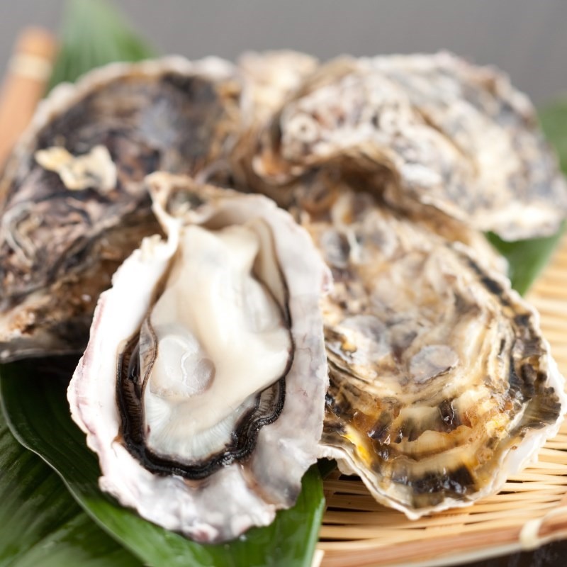 【一夫水產】三重縣生食級－全殼生蠔L-細節圖7