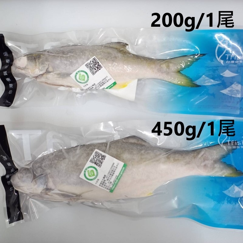 【一夫水產】產銷履歷午仔魚-細節圖3