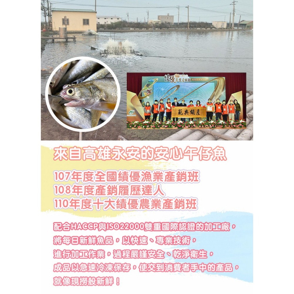 【一夫水產】產銷履歷午仔魚-細節圖4