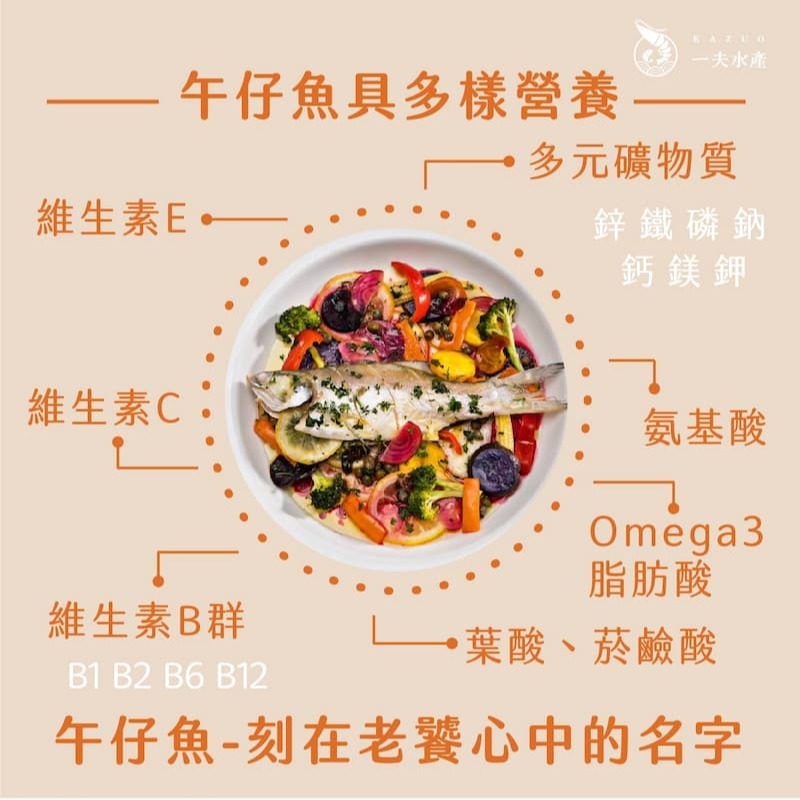 【一夫水產】產銷履歷午仔魚-細節圖5