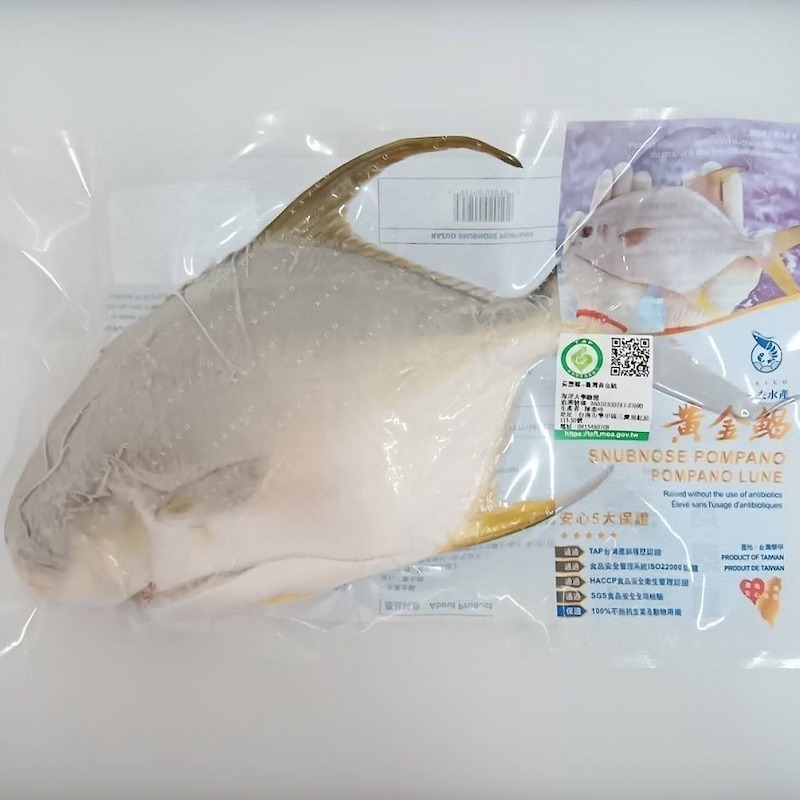 【一夫水產】無抗生素黃金鯧魚-細節圖6