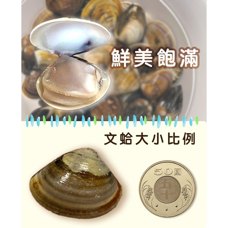 【一夫水產】冠軍(大)文蛤 300g x5包組(免運)-細節圖4