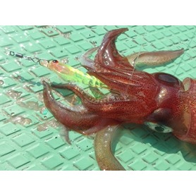 YAMASHITA YSスナップRS 轉環 593-785-細節圖4