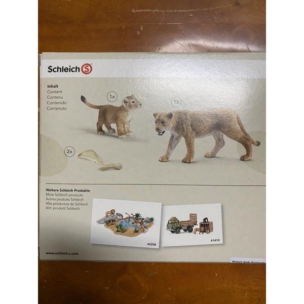 schleich獅子組 熊組 史萊奇 思樂 動物親子組模型 孩童教育玩具首選 正版破盤特價-細節圖3