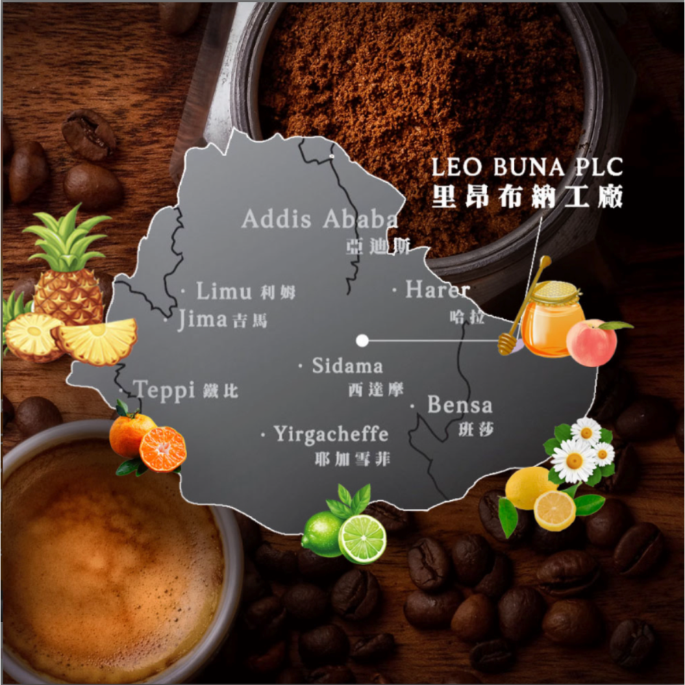 【哇哈哈購物】LEOBUNA里昂布納 嚴選綜合咖啡豆 老派咖啡館 獨家克重(275g) 4種口味任選 10包/箱-細節圖5