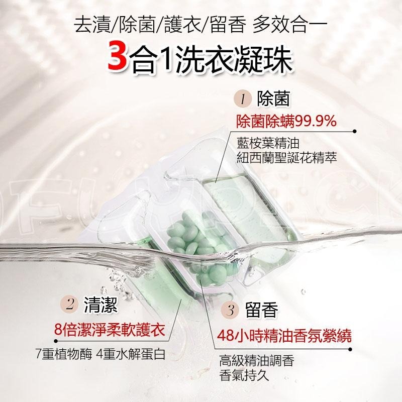 【沙龍級調香】綻家洗衣凝珠 洗衣凝珠 洗衣球 洗衣膠囊 精油洗衣凝珠 洗衣精 洗衣液 洗衣凝膠球 LYCOCELLE 綻-細節圖6