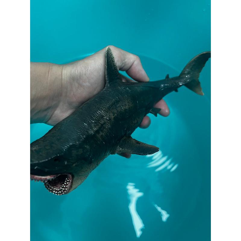 仿真鯊魚小男孩的洗澡🛁玩伴-細節圖3