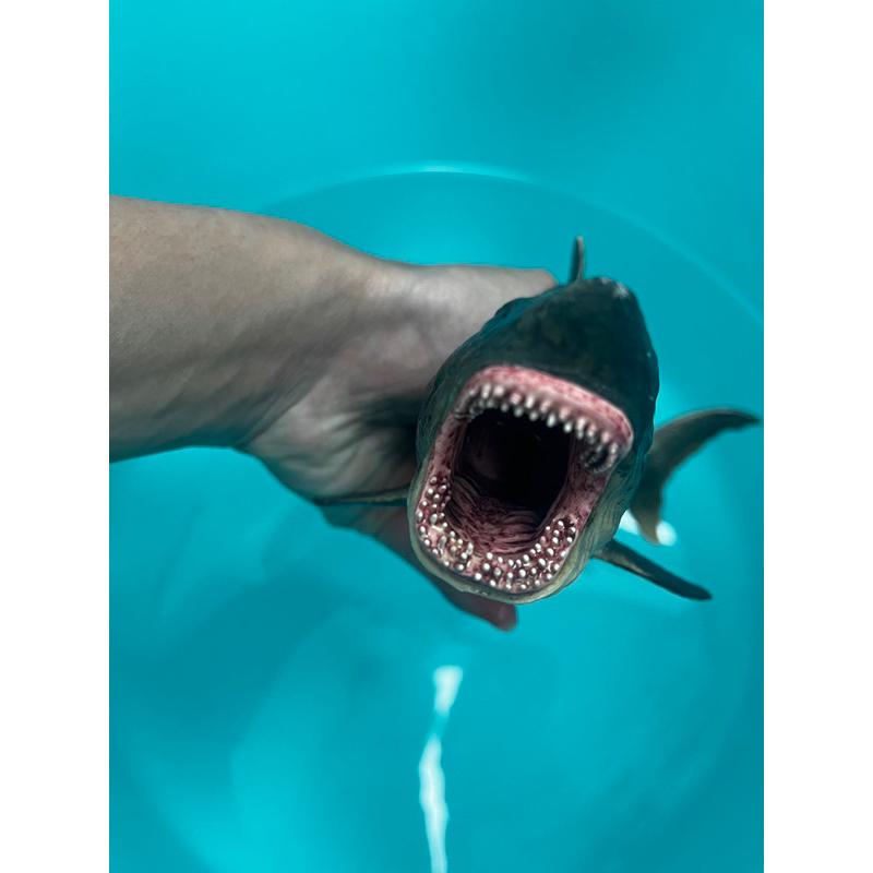 仿真鯊魚小男孩的洗澡🛁玩伴-細節圖6