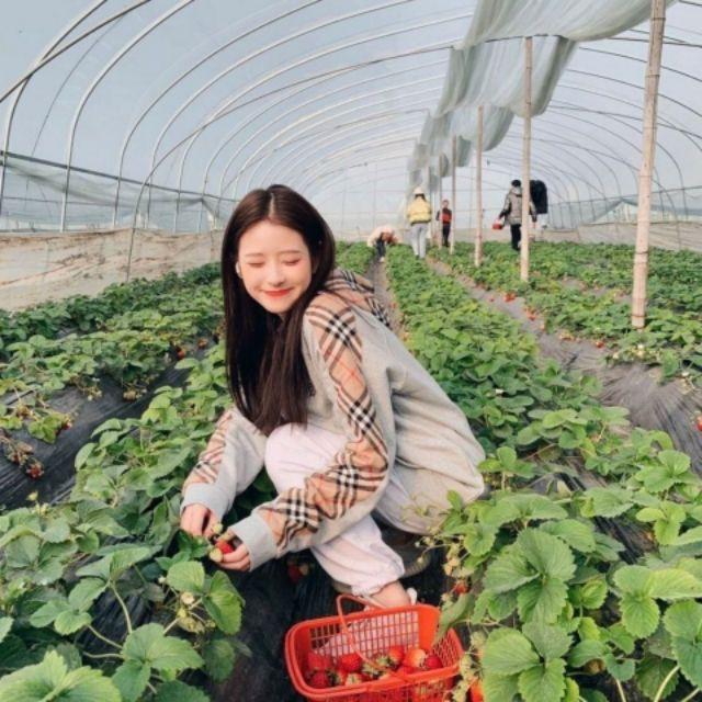 誰說夏天不用帶著外套!Bbr 經典格紋連帽外套生日禮物-細節圖2