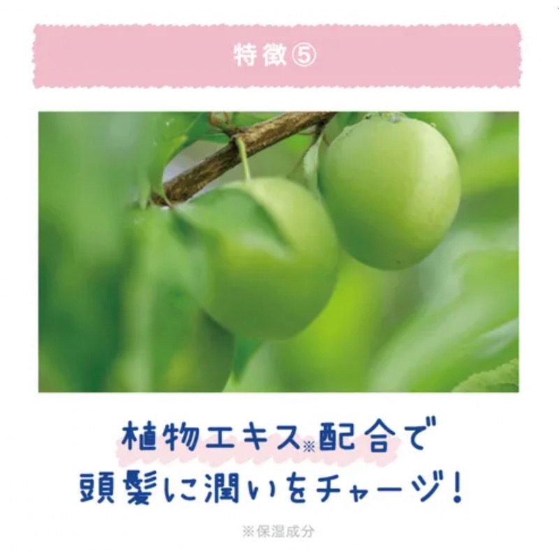 🇯🇵日本境內版限定～Coolist 輕盈頭皮 -5度C 涼感淨化液（柑橘薄荷）100ml-細節圖7