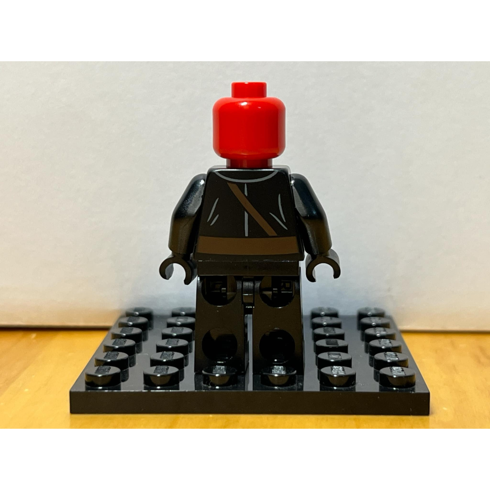 [樂高小天地]LEGO 76017 Super Heroes 超級英雄 Red Skull 紅骷髏-細節圖2