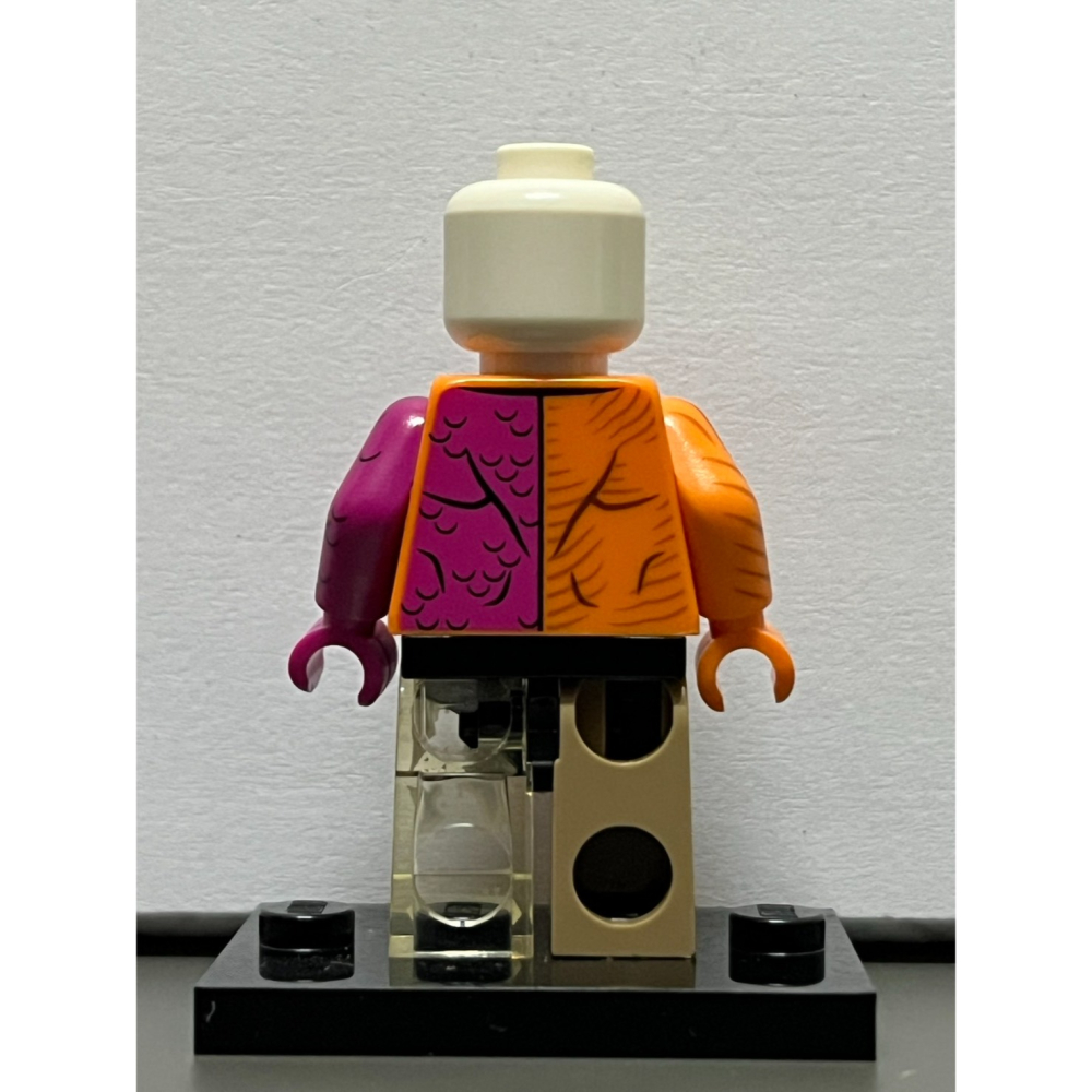 [樂高小天地]LEGO 71026 Minifigures DC Super Heroes Metamorpho-細節圖2
