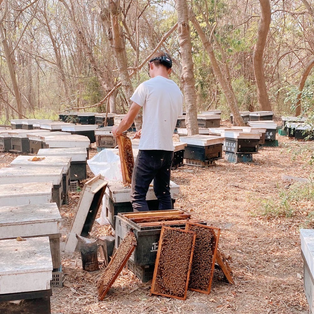 【100%純】東埔高山埔鹽花粉｜500G｜龜毛の-細節圖2