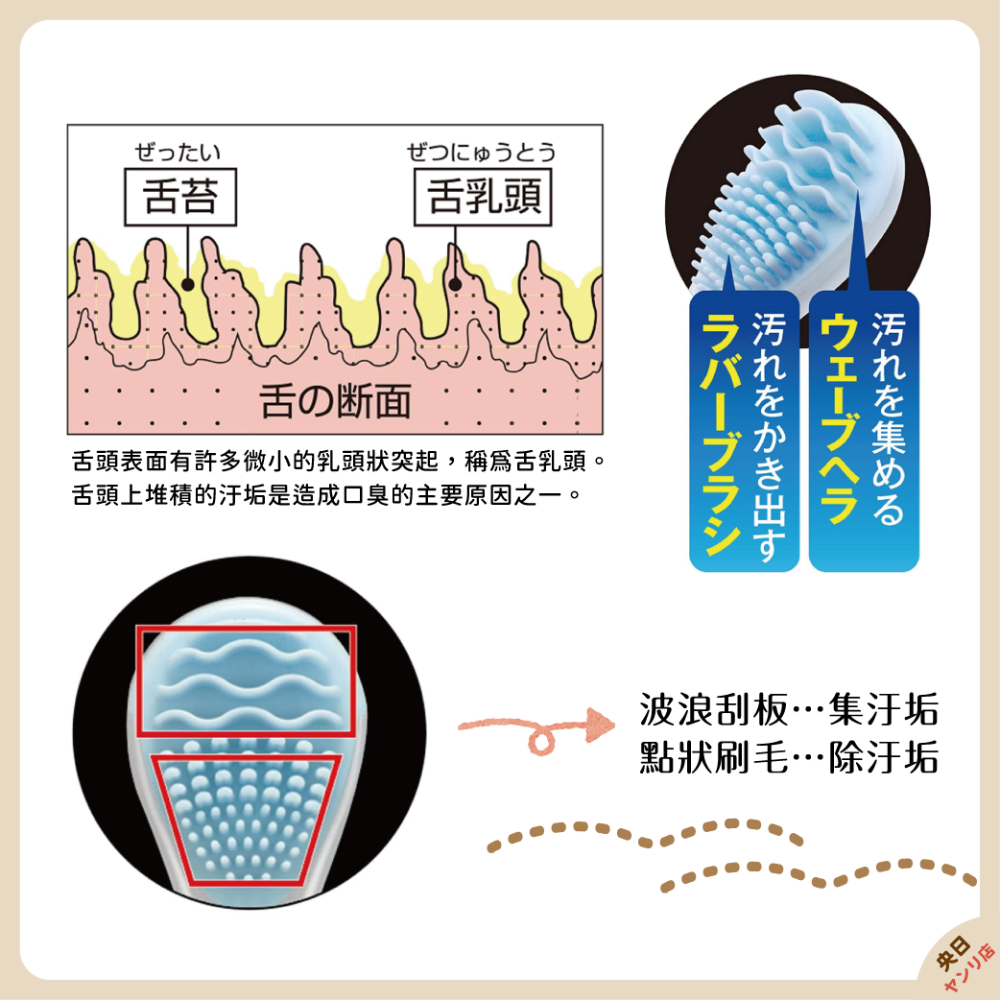 日本製 EBiSU 舌苔清潔刷 舌苔刷 舌苔器-細節圖4