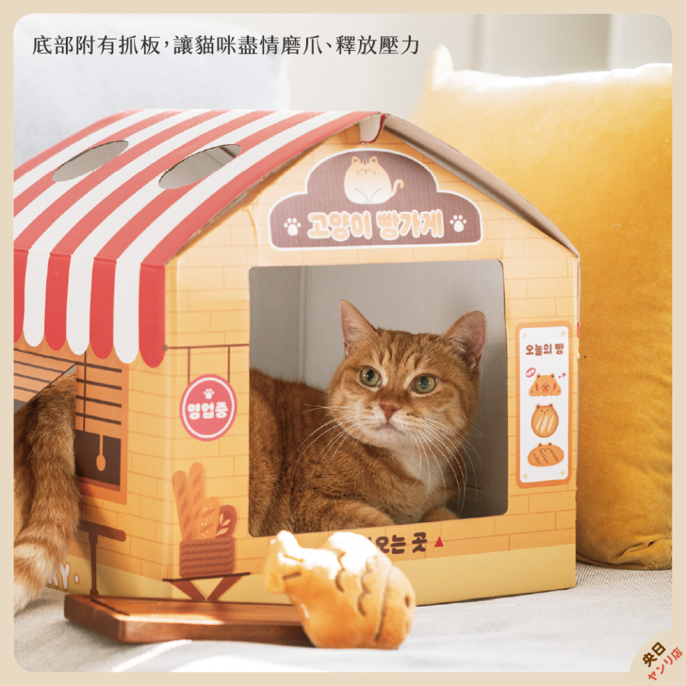 韓國 大創 DAISO 貓屋 貓抓屋 貓抓板 紙板貓抓屋 貓窩 貓用品 寵物 貓抓窩 紙盒 彩盒 小屋-細節圖3
